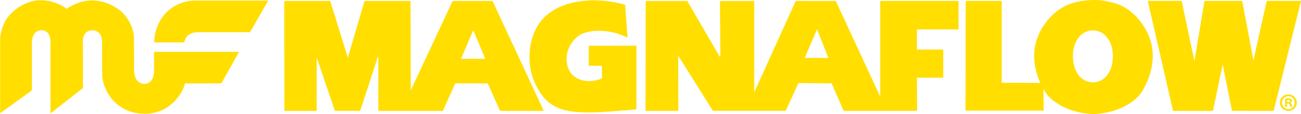 The MagnaFlow Group